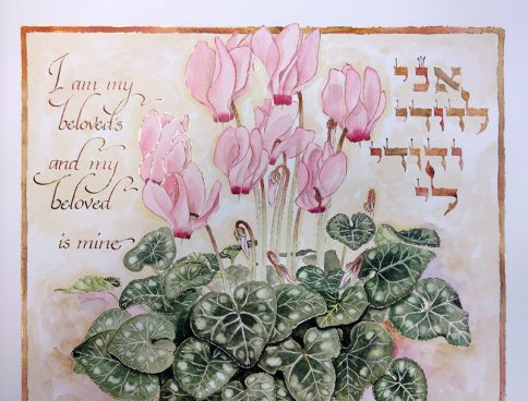 06-2 Rakefet Ketubah by Mickie Caspi Cyclamen Image