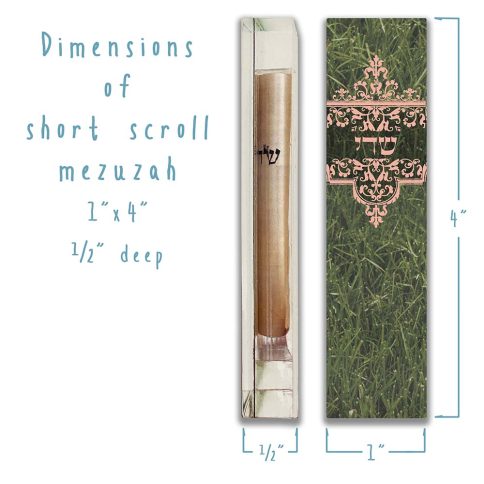 Summer Grass Mezuzah