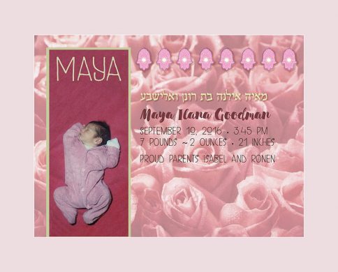Baby Girl Bed of Roses Blush Baby Wall Art G-BG-14a by Mickie Caspi