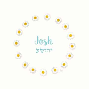 Daisies Boy Kids Names Art by Mickie Caspi