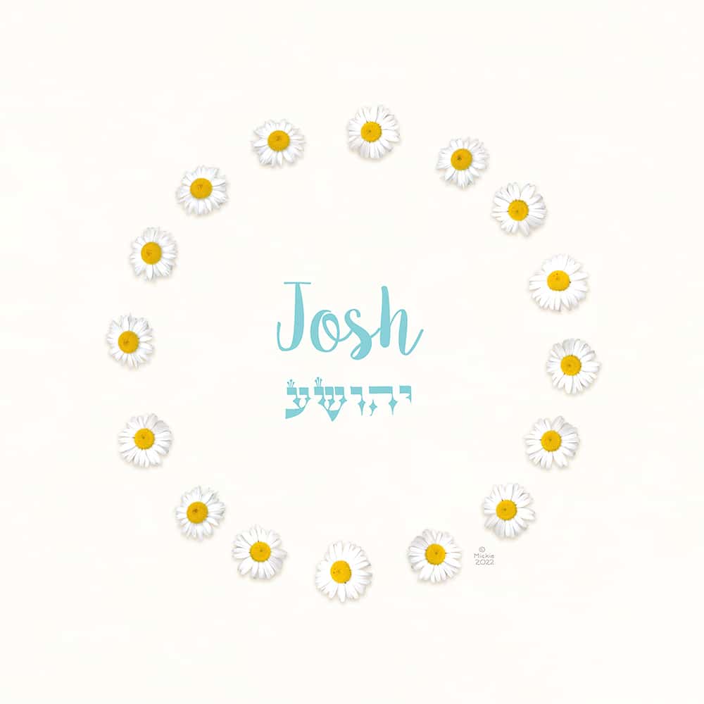 Personalized Daisies Boy Kids Names Art By Mickie Caspi personalized-daisies-boy-kids-names-art-by-mickie-caspi