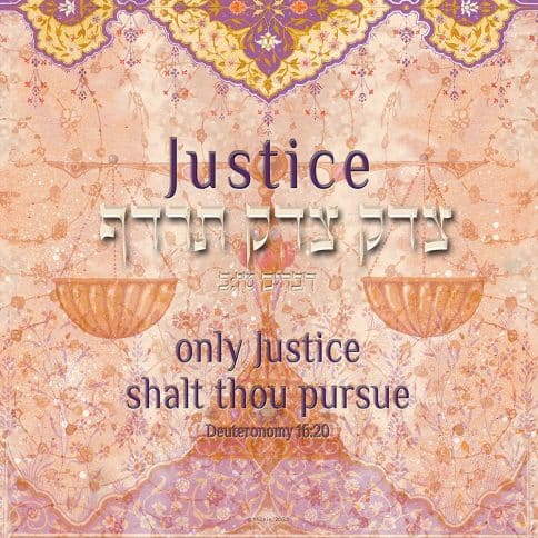 Lawyers Creed Righteousness Art Professions Gift by Mickie Caspi PEACH